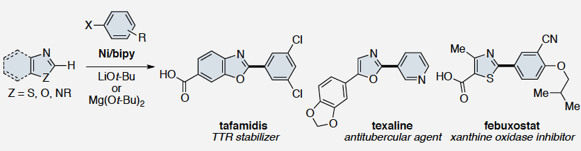 Image result for TAFAMIDIS